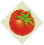 TomatoDesign.Net